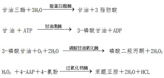 甘油三酯測(cè)定試劑盒注冊(cè)技術(shù)審查指導(dǎo)原則(2016年第29號(hào))(圖1) 甘油三酯測(cè)定試劑盒注冊(cè)技術(shù)審查指導(dǎo)原則(2016年第29號(hào))(圖1)