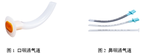 口咽/鼻咽通氣道注冊審查指導原則（2023年第22號）(圖1)