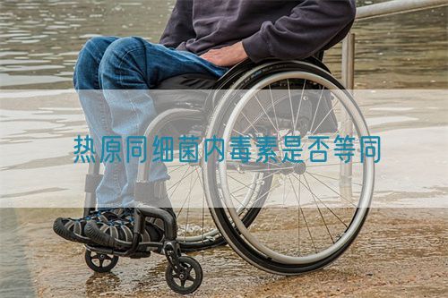 熱原同細菌內(nèi)毒素是否等同(圖1) 熱原同細菌內(nèi)毒素是否等同(圖1)