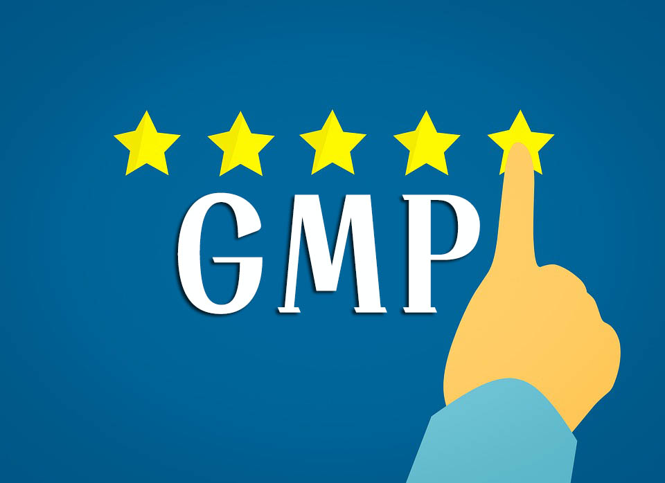 GMP知識(shí)手冊(cè)匯總（GMP專員、企業(yè)生產(chǎn)質(zhì)量負(fù)責(zé)人必備）(圖1)