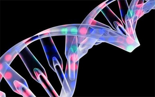 生物相容性是什么意思？怎么判斷醫(yī)療器械要做哪些生物相容性測試項(xiàng)目？(圖1)