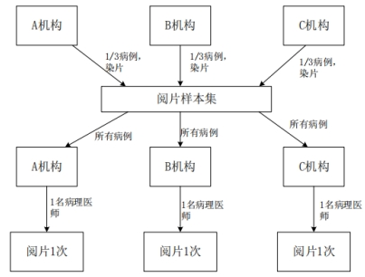 PD-L1檢測試劑臨床試驗—結(jié)果重現(xiàn)性研究注冊審查指導(dǎo)原則（2022年第27號）(圖5)